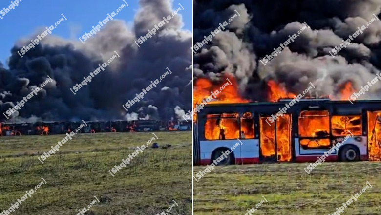 Digjen dhjetëra autobusë të rreshtuar në sektorin Rinia në Durrës! Tymi mbulon zonën (VIDEO)