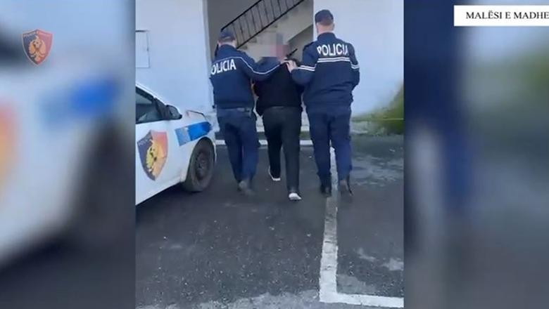 Malësi e Madhe/ Në kërkim për kultivim kanabisi, pranga 57-vjeçarit