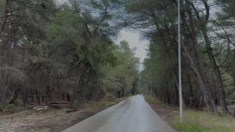 KLSH zbarkon në Vlorë, nis inspektimi në Pyllin e Sodës, në fokus pretendimet për prerjen e pemëve dhe ndërhyrjet në territor (VIDEO)