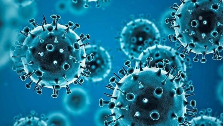 Sjellja njerëzore që nuk u bë titull