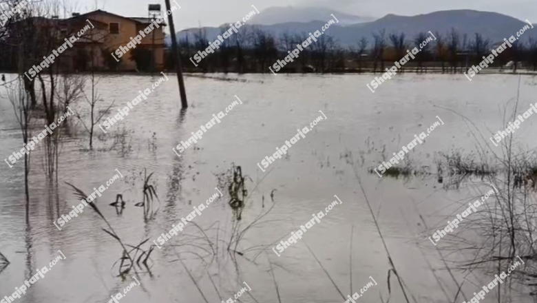 Moti i keq, Pirro Vengu thërret në mbledhje Komitetin e Emergjencave Civile dhe ministrin e Bujqësisë