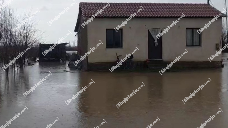 Moti i keq/ 880 ha tokë e përmbytur në Lezhë, 1500 ha tokë në Kurbin! 150 banesa me prezencë uji