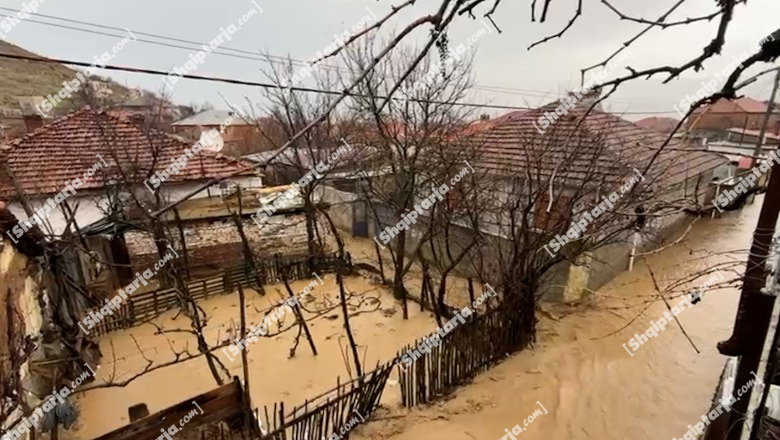 Situatë problematike në Pogradec/ Lumi në fshatin Rrëmenj del nga shtrati dhe përmbyt shtëpitë (VIDEO)
