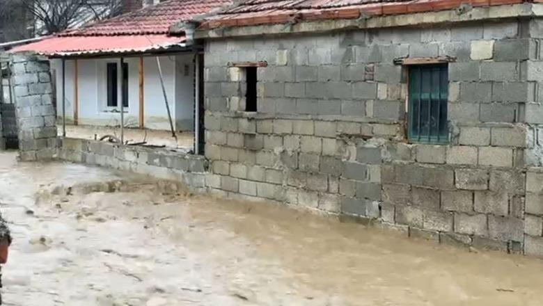 Pogradec/ Reshjet e dendura shkaktojnë probleme në fshatin Rëmenj! Lumi del nga shtrati, rrezikohen banesat