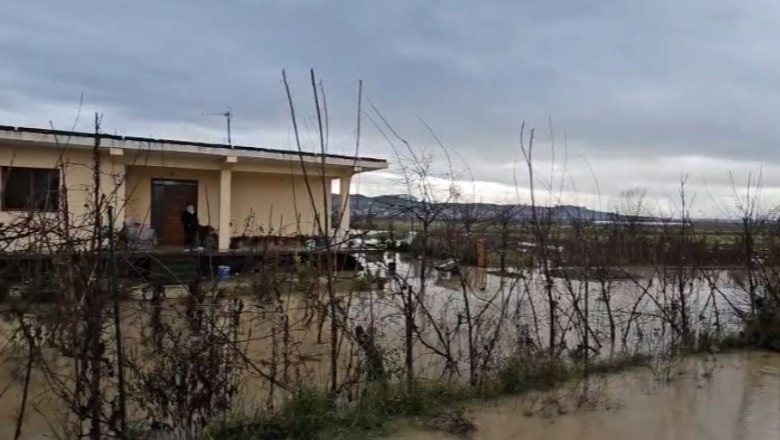 Elbasan/ Përmbyten tokat bujqësore në fshatrat Jagodinë dhe Muriqan, uji rrethon banesat! Shkak mospastrimi i kanalit kullues