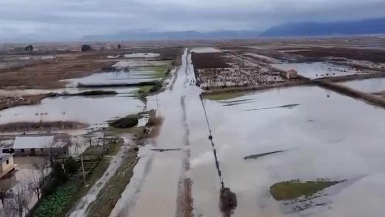 PAMJET ME DRON/ Banesa dhe toka bujqësore nën ujë nga përmbytjet në Kurbin