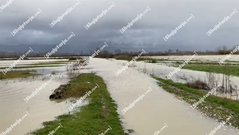 Moti i keq! Përrmbyten tokat bujqësore në ultësirën e Krujës, 20 banesa të izoluara nga uji