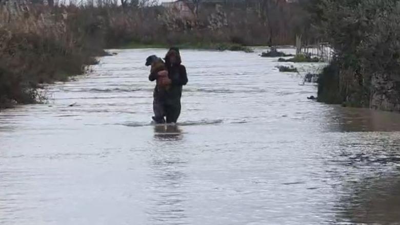 VIDEOLAJM/ Rritja e nivelit të lumit Vjosë, banori merr qenin në krahë dhe e shpëton nga përmbytja
