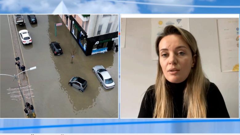 Gjoni për Report Tv: Reshjet e dëborës do të zbresin deri në nivelin 300 m mbi nivelin e detit! Më të prekurat veriu, lindja dhe juglindja