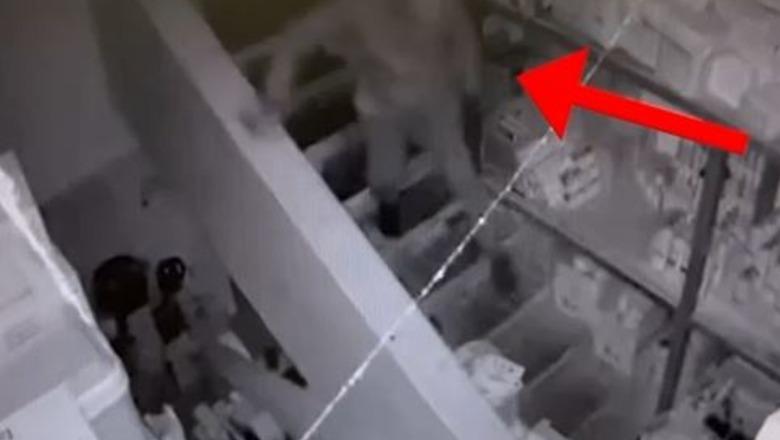 Autorë të disa grabitjeve në Tiranë dhe Krujë, vihen në pranga dy persona! Sendet e vjedhura me vlerë disa mijëra euro