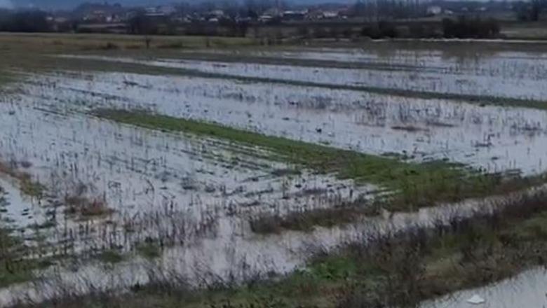 Bie niveli i lumit Ishëm, por situata ende jo e përmirësuar! Qindra hektarë tokë nën ujë