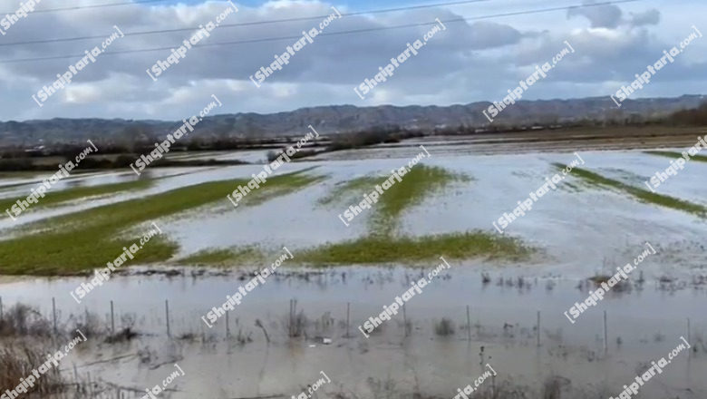 Bie niveli i lumit Ishëm, por situata ende jo e përmirësuar! Qindra hektarë tokë nën ujë