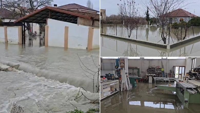 REPORTAZH/ Përmbytjet në Katund të ri, Report TV në fshatin e mbuluar nga uji! Banorët të dëshpëruar: Faji i shtetit