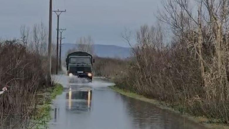 Moti i keq, 266 hektarë tokë nën ujë në Shkodër! Nivelet e lumenjve brenda parametrave, asnjë banesë e përmbytur