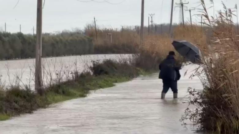 Lumi Seman dhe Shkumbin dalin nga shtrati, rreth 20 banesa të përmbytura në fshatin Thanasaj