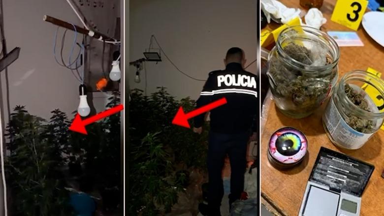 Tiranë/ Mashtruan 55-vjeçarin dhe i morën 40 mijë euro, 3 të arrestuar! Në kërkim dy të tjerë! Policia zbulon edhe një 'fole' droge në banesën e një prej autorëve