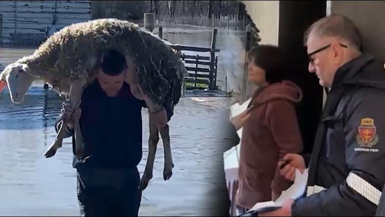 Nis procesi i verifikimit të dëmeve nga përmbytjet në Ferras dhe Mbrostar të Fierit! Autoritetet në terren, banesat dhe fermat në vlerësim