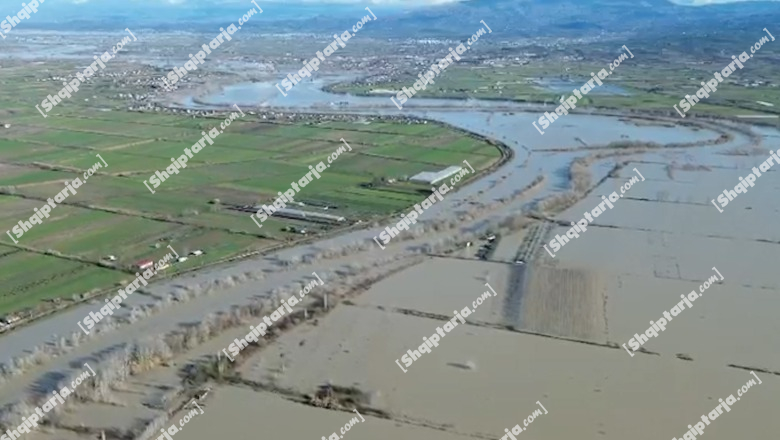 Fier/ Dalja e lumit Seman nga shtrati, qindra hektarë tokë bujqësore nën ‘pushtetin’ e ujit! PAMJE ME DRON