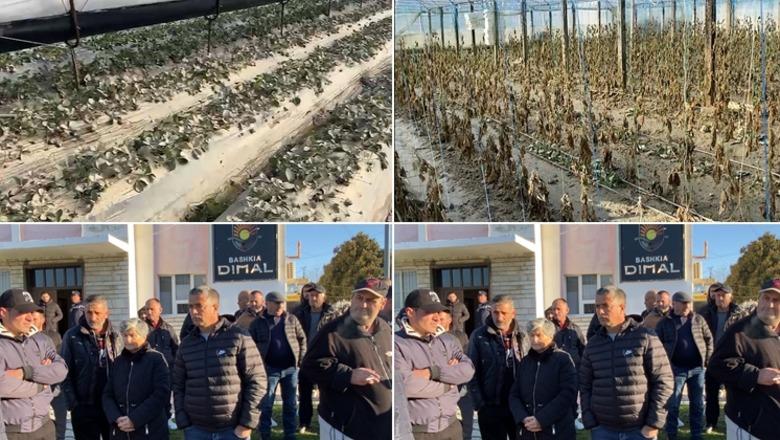 Përmbytjet/ Uji tërhiqet nga tokat, fermerët: Iku mundi i jetës! Në Durrës 543 të evakuuar! Protestë në Dimal e Maliq