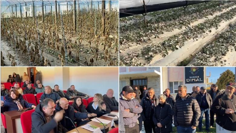 Përmbytjet/ Uji tërhiqet nga tokat, fermerët: Iku mundi i jetës! Në Durrës 543 të evakuuar! Protestë në Dimal e Maliq