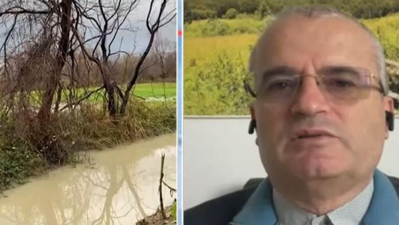 Përmbytjet, eksperti rendit disa nga shkaqet: Kemi humbur 32% të pyjeve, dëm kolosal ekosistemit