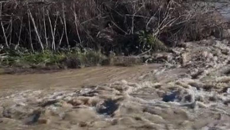 Moti i keq në Fier/ Prurjet e Lumit Seman çajnë argjinaturën në fshatin Ndërnënas, përmbyten dhjetëra hektarë tokë bujqësore