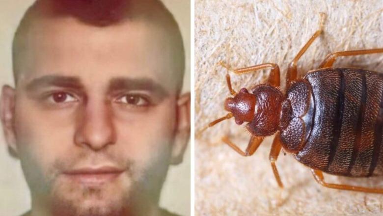 Ndodh edhe kjo! Morrat ndërpresin gjyqin kundër “bosit” nga Elbasani