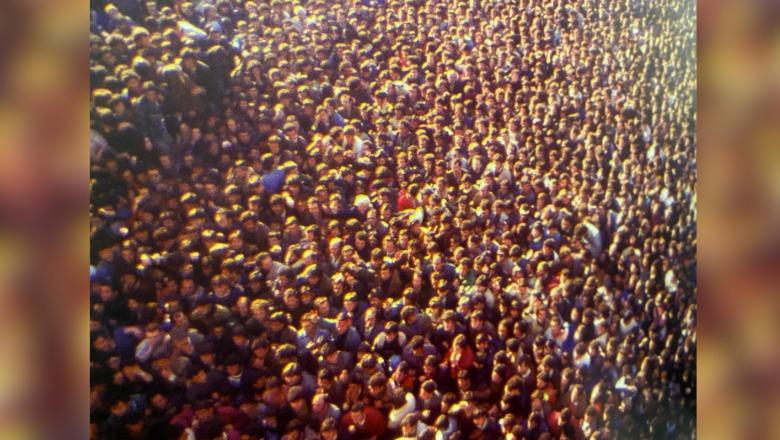 Shqiptarët nuk protestojnë për zënka pasanikësh!