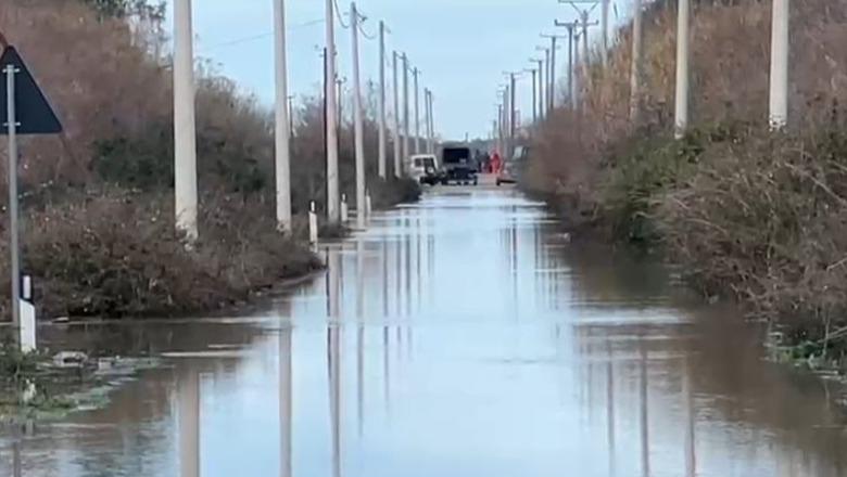 U denoncuan si të zhdukur, gjenden dy barinjtë në Fier! Nuk pranojnë të evakuohen