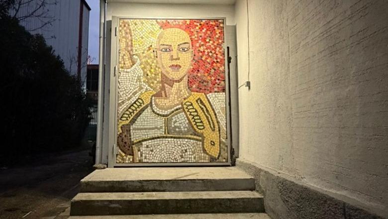 Instalacioni i gruas pa flokë në fasadën e Muzeut Kombëtar gjen ‘shtëpi’ të re, vendoset në Arkivin Qendror të Filmit