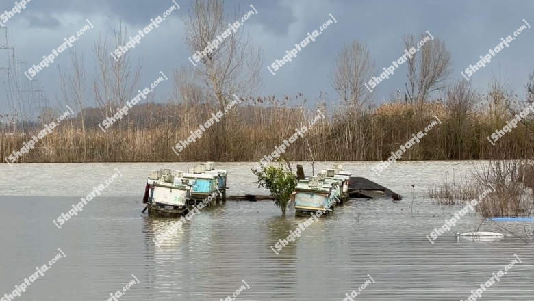 Përmbytjet në Kurbin, sistemi kullues ende me probleme! Kapaciteti i hidrovorit nuk e përballon nivelin e lartë të prurjeve