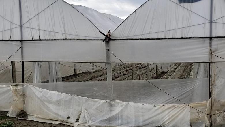 Kuçovë/ Përmbytjet në fshatin Kozare, 28 hektarë sipërfaqe me sera ende nën ujë