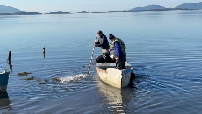 Peshkimi, pasioni i dy vëllezërve Alliu në lagunën e Nartës: Dikur dilnin 30–40 varka, sot kanë mbetur shumë pak