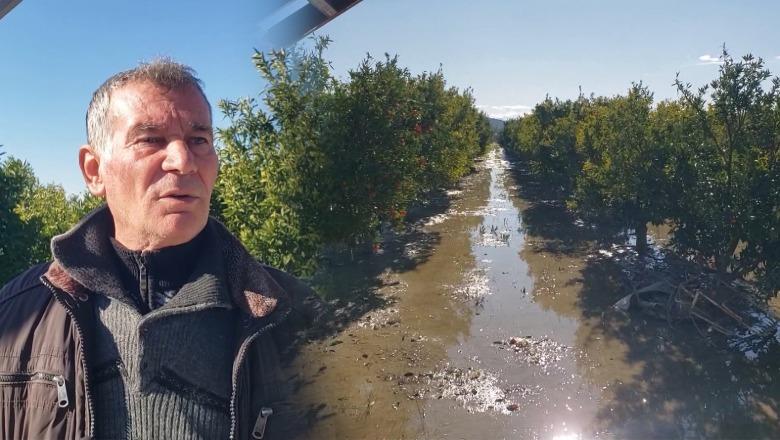 Përmbytjet në Dimal, dëmet më të mëdha në parcelat bujqësore! Banorët: Nuk është bërë vlerësim real, u hapën pa lajmërim portat e hidrocentralit