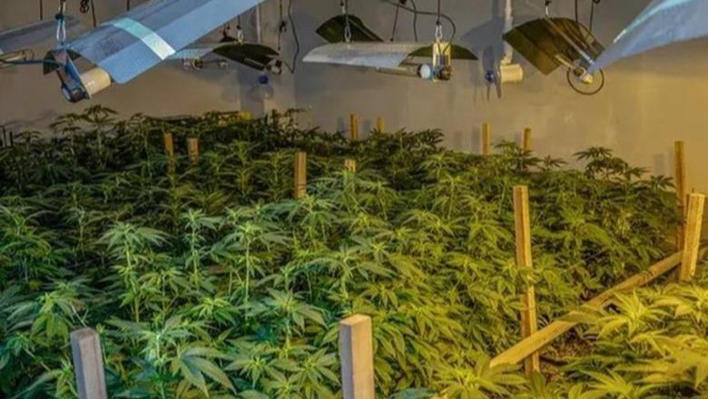 Tjetër ‘shtëpi bari’ në Sarandë, apartamenti ishte përshtatur për kultivimin e lëndëve narkotike