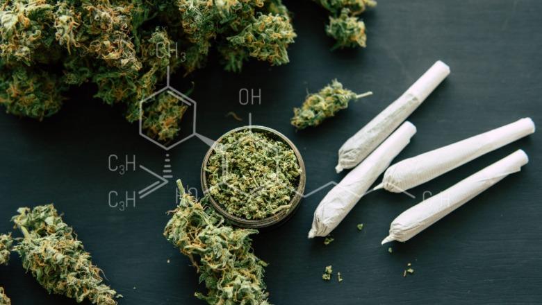 Gjermani: Legalizimi i kanabisit dhe shtimi i psikozave