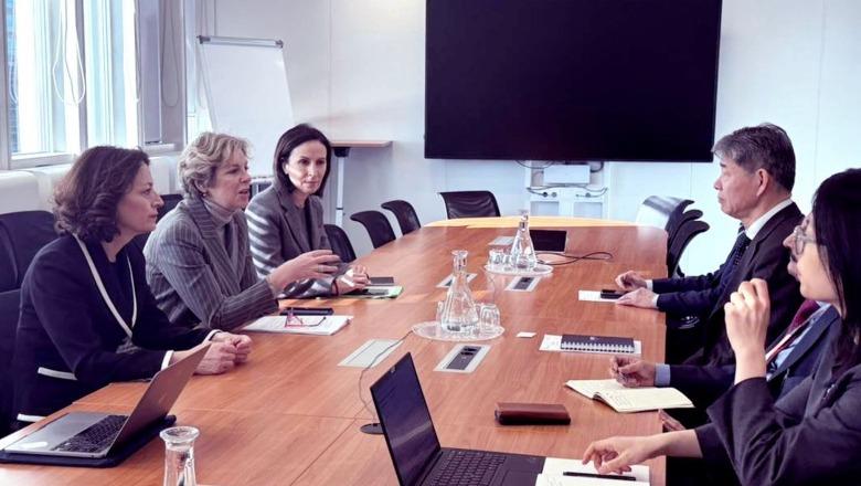 Ministrja Sala vizitë në Vjenë: Forcohet bashkëpunimi me Agjencinë Ndërkombëtare të Energjisë Bërthamore për kujdesin ndaj kancerit