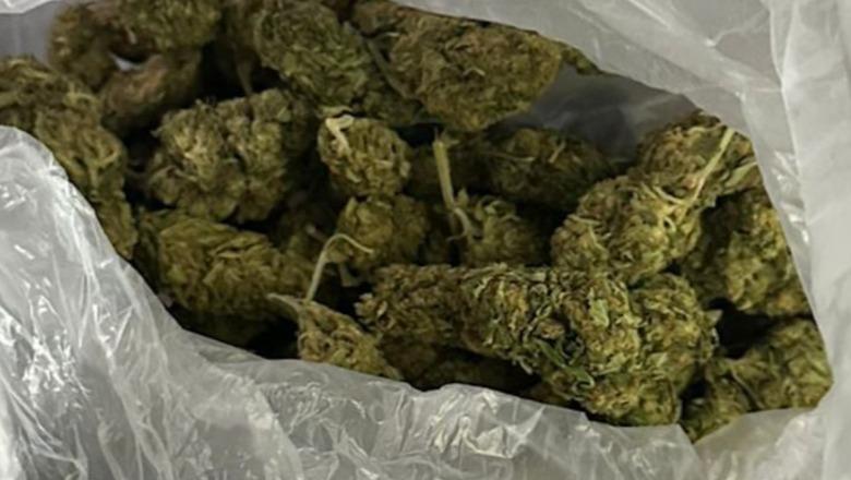 Shiste kanabis në lokal, pranga 49-vjeçarit në Pogradec! Procedohet penalisht i mituri që bleu lëndë narkotike