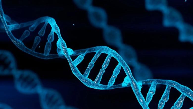 Shkencëtarët thonë se sekreti i jetëgjatësisë është më i thjeshtë se ç’mendonim!