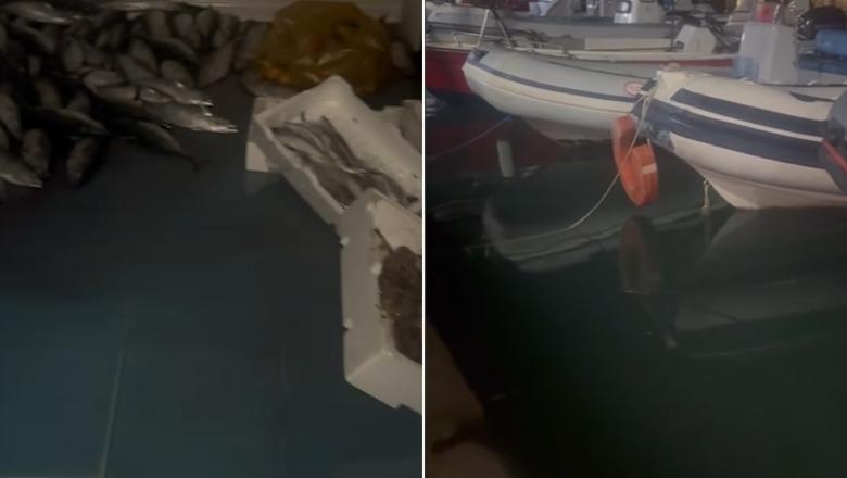 Niveli i detit në Radhimë rritet si asnjëherë më parë, peshqit 'dalin' në tokë (VIDEO)