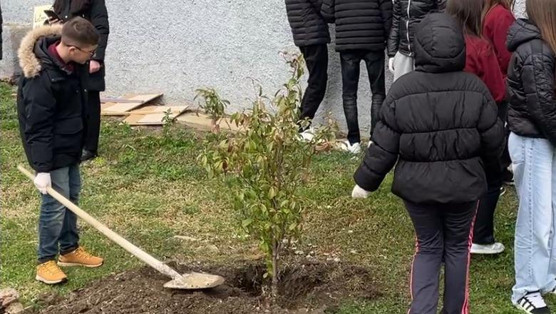 Për një Lezhë më të gjelbërt/ Nxënësit e shkollës 9-vjeçare ‘Besëlidhja' mbjellin 20 fidanë pranë memorialit të Skënderbeut