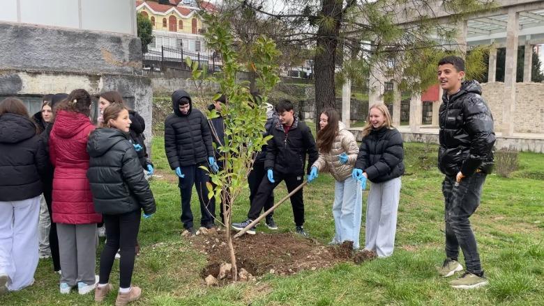 Për një Lezhë më të gjelbërt/ Nxënësit e shkollës 9-vjeçare ‘Besëlidhja' mbjellin 20 fidanë pranë memorialit të Skënderbeut