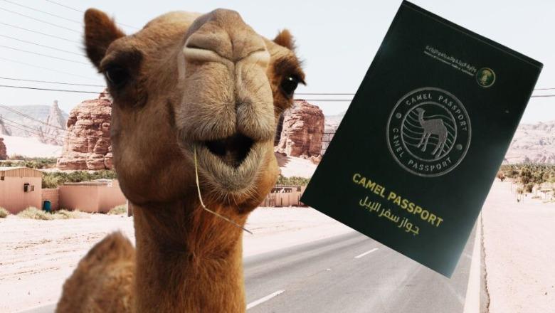 Arabia Saudite lëshon pasaporta për devetë, ja cila është arsyeja!
