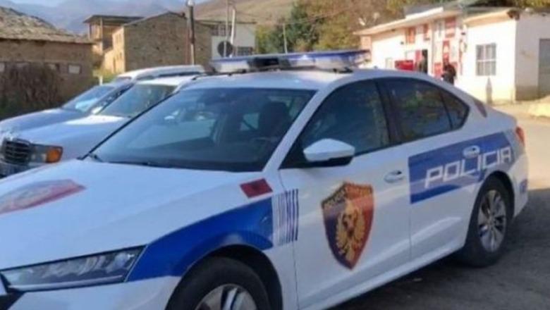 Mashtroi të riun duke i ofruar punë në Slloveni, 35-vjeçarin nga Durrësi në kërkim nga policia