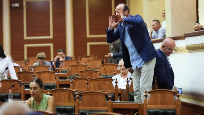 Edhe një herë për 'tradhtarin' e partisë Dash Sula