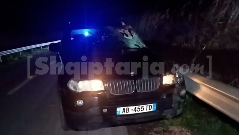 Makina përplaset me kalin në Lushnje, përfundon në spital pasagjerja (VIDEO)