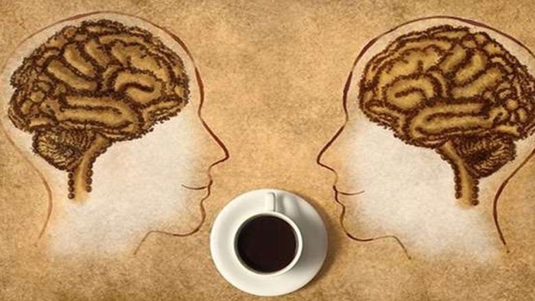 Studimi: Kafeja dhe çaji i bëjnë mirë trurit, ja sa filxhanë duhet të pini në ditë!