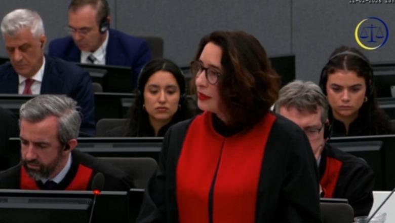 Mbrojtja e Thaçit në gjyqin e Hagës: Si është e mundur që një 29-vjeçar të mashtronte diplomatët dhe inteligjencën europiane?