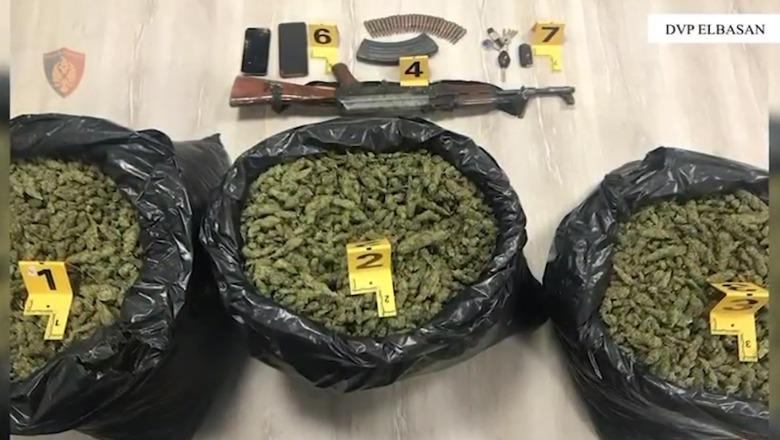Operacion antidrogë në Elbasan, goditet grupi kriminal! Arrestohen 4 persona, sekuestrohet 41 kg hashash, kallashnikov e municion luftarak (VIDEO-EMRAT)