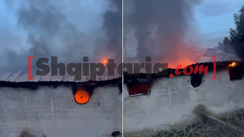 Përfshihet nga flakët stalla në Selenicë/ Digjen 22 krerë gjedhë, shkak dyshohet një shkëndijë elektrike